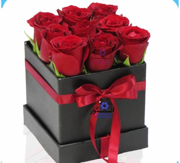 عکس گل رز جعبه ای