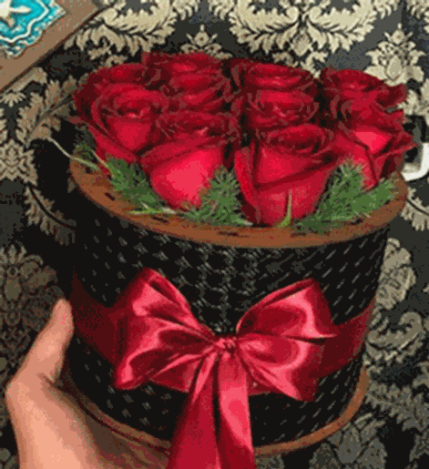 عکس گل رز جعبه ای