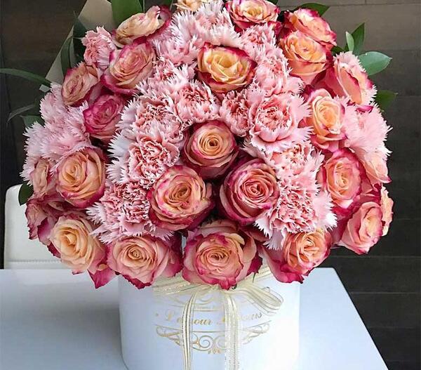عکس گل رز جعبه ای