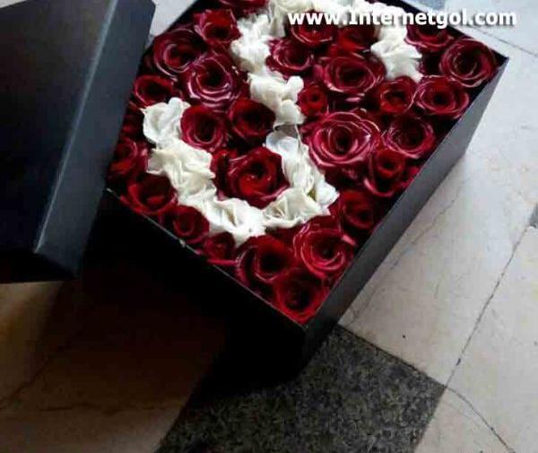 عکس گل رز جعبه ای