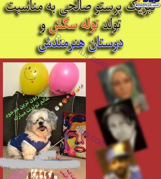 عکس ایده برای تولد سگ