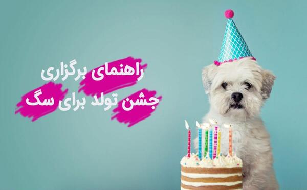 عکس ایده برای تولد سگ
