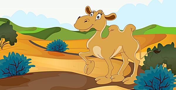 عکس شتر کاریکاتور
