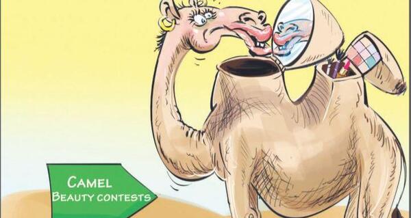 عکس شتر کاریکاتور