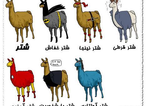 عکس شتر کاریکاتور