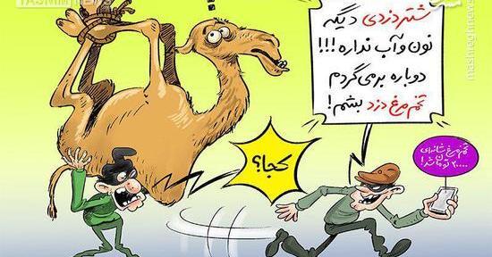 عکس شتر کاریکاتور