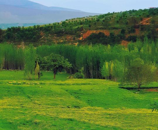 عکس طبیعت چهارمحال