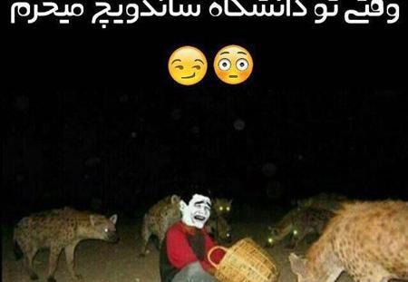 عکس خنده دار با متن
