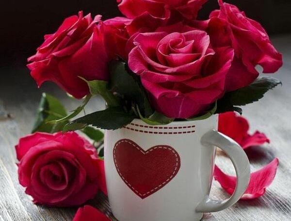 عکس خاص و زیبا برای پروفایل تلگرام