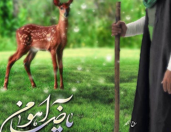 عکس پروفایل ضامن آهو
