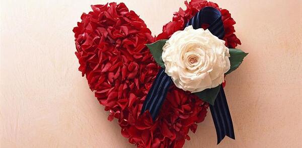 عکس دانلود تصاویر گلهای زیبای طبیعت