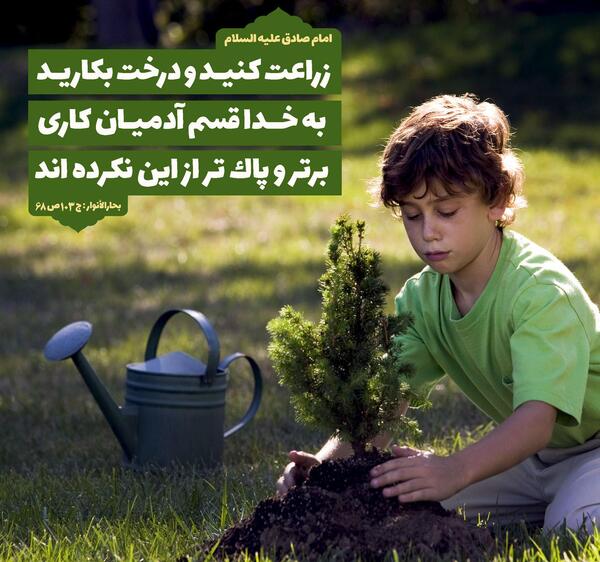 عکس حدیث روز درختکاری