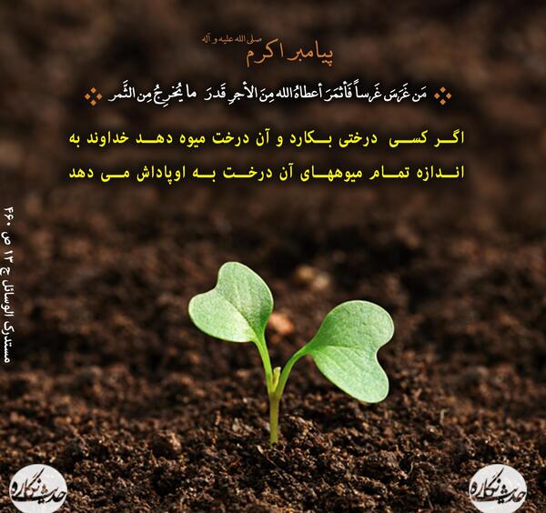عکس حدیث روز درختکاری