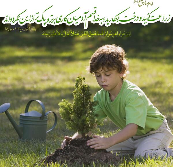عکس حدیث روز درختکاری