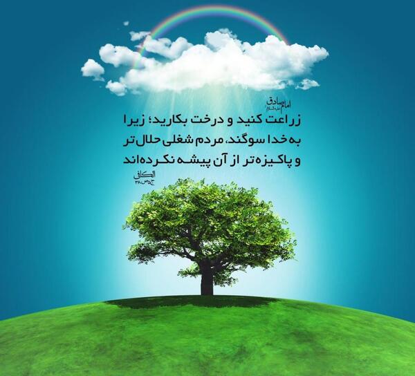 عکس حدیث روز درختکاری