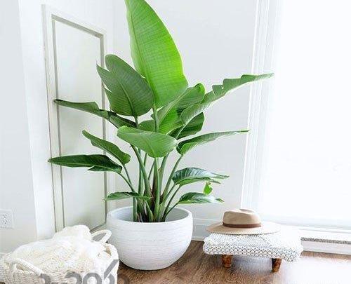 عکس ایده برای گوشه های خانه