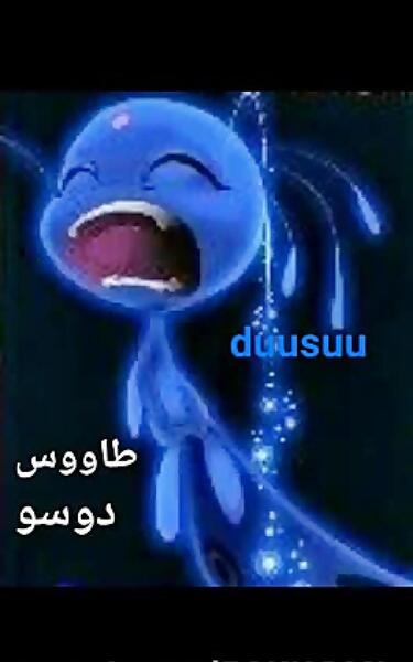 عکس کوامی طاووس واقعی