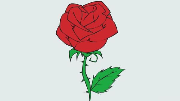 عکس گل رز طراحی شده