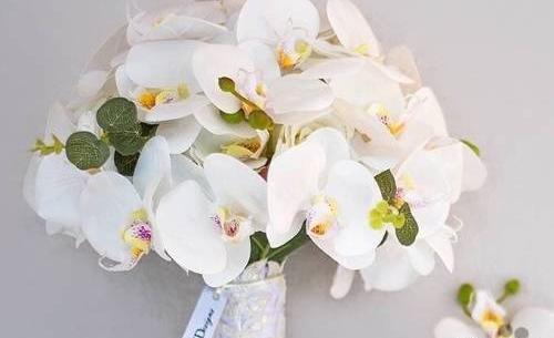 عکس دسته گل ارکیده سفید