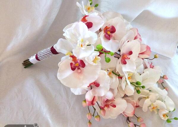عکس دسته گل ارکیده سفید