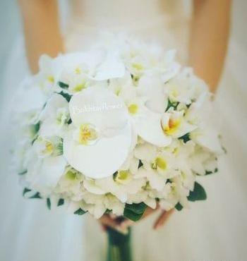 عکس دسته گل ارکیده سفید