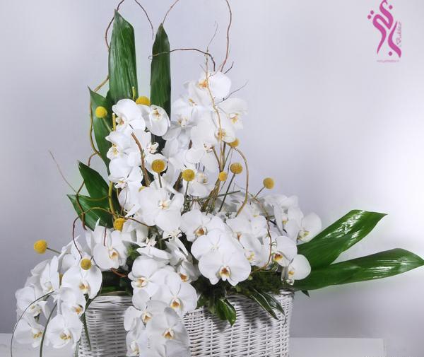 عکس دسته گل ارکیده سفید