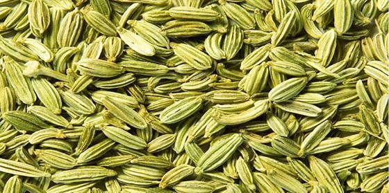 عکس از دانه رازیانه