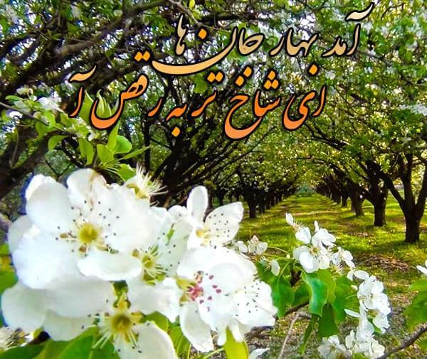 عکس طبیعت عید نوروز