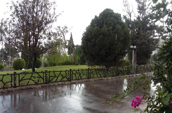 عکس باران شیراز
