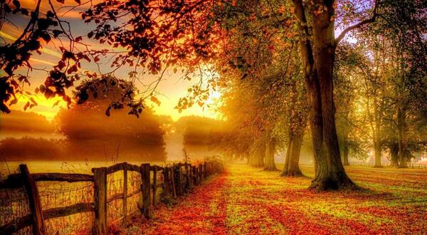 عکس زیبای طبیعت پاییز