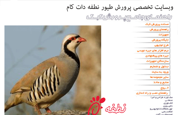 عکس زهره کبک