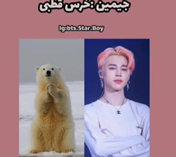 عکس حیوانات گروه بلک پینک
