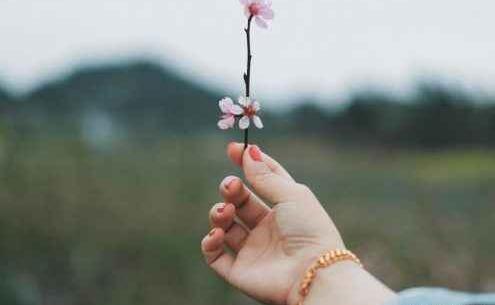 عکس بهاری فیک