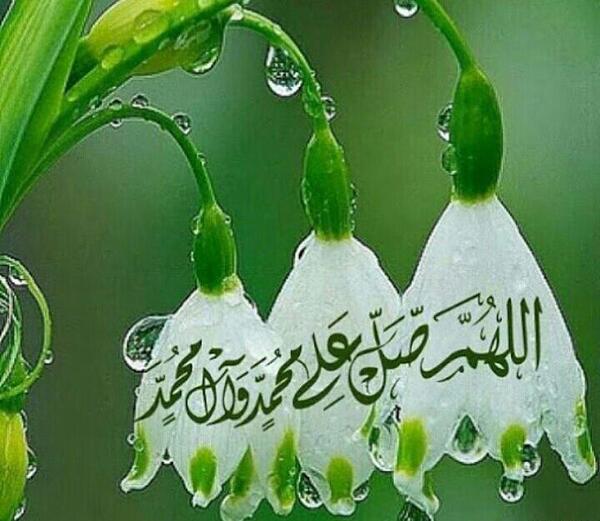 عکس الله هم صلی علی محمد و آل محمد