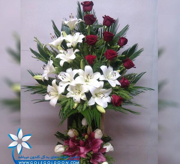 عکسهای گل مریم و رز