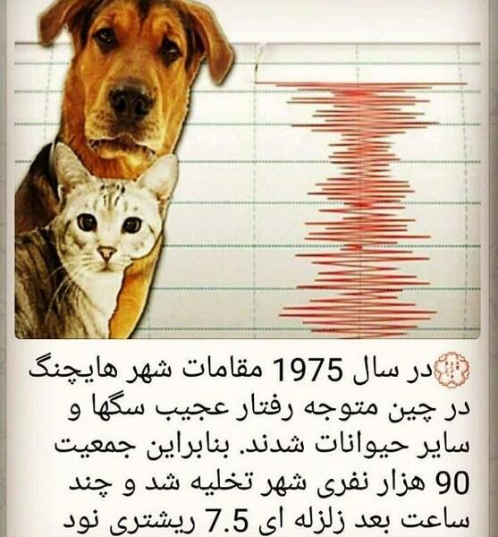 عکس پروفایل حامی حیوانات