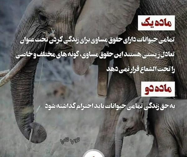 عکس پروفایل حامی حیوانات