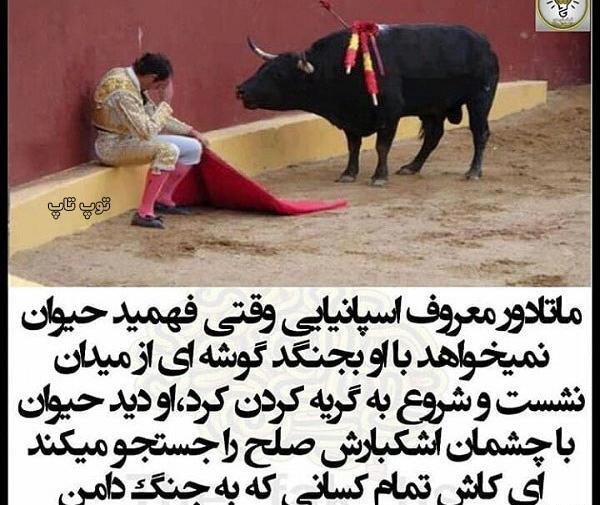 عکس پروفایل حامی حیوانات