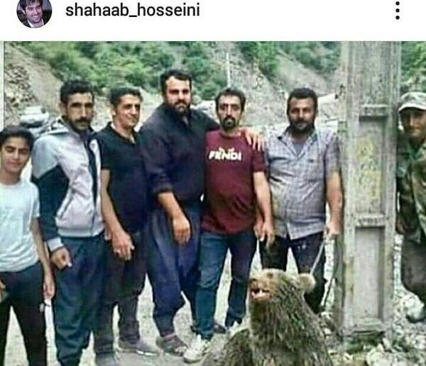 عکس شهاب خلیلی