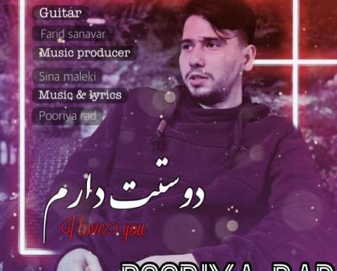 عکس پوریا راد
