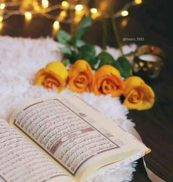عکس قران و گل و تسبیح