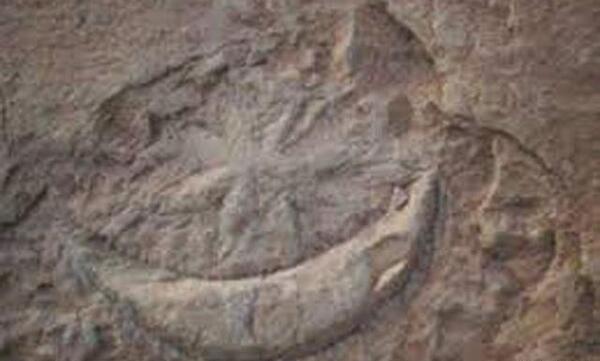 عکس خورشید روی سنگ نشانه چیست
