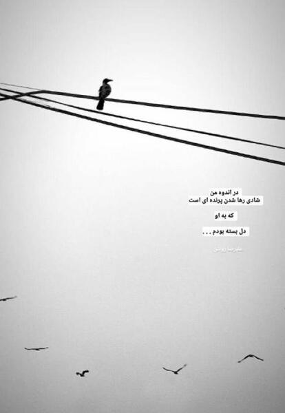 عکس نوشته علیرضا روشن