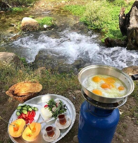 عکس غذای طبیعت