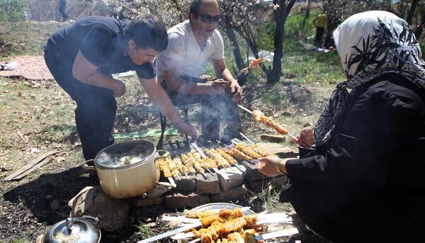 عکس غذای طبیعت