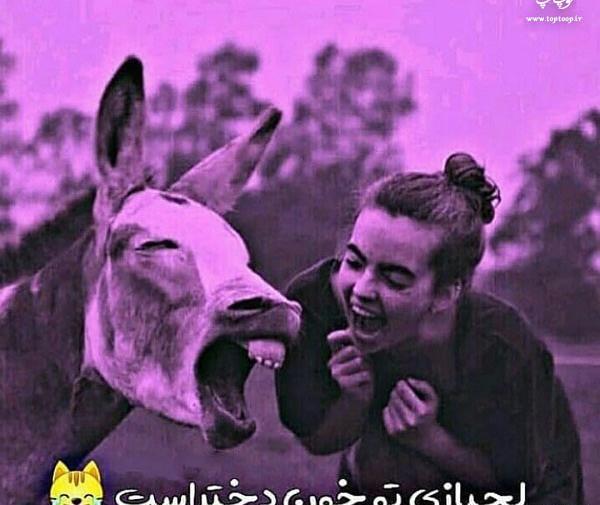 عکس نوشته رفیق لجباز