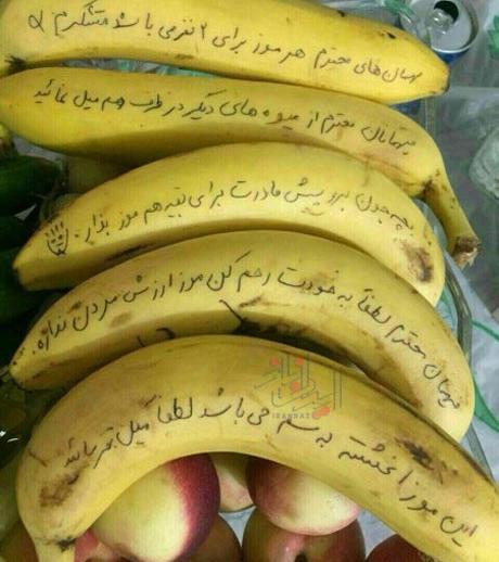 عکس های خنده دار طبیعت