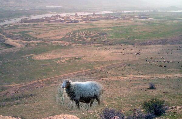 عکس روستای صلوات