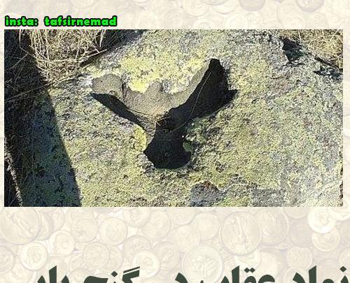 عکس عقاب روی سنگ در دفینه