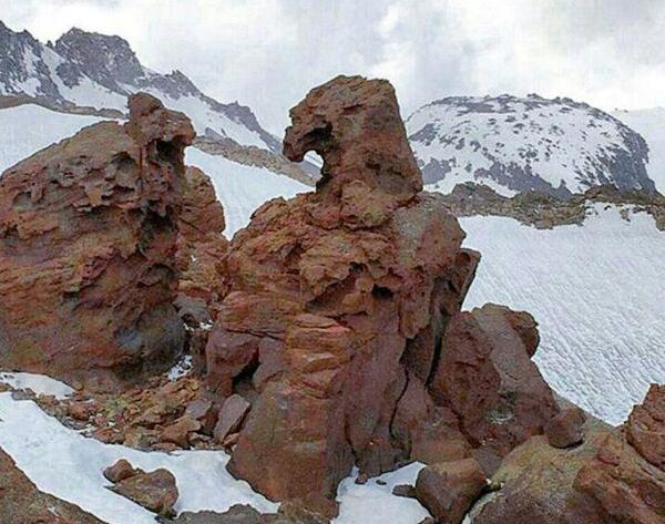 عکس عقاب روی سنگ در دفینه